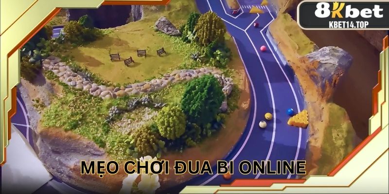 Bí quyết giúp chinh phục từng vòng đua