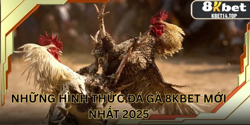 Những hình thức đá gà 8KBET mới nhất 2025