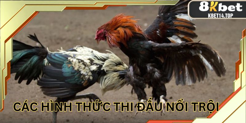 Một vài hình thức xem nổi trội nhất