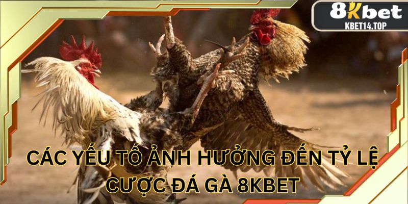 Điểm qua những yếu tố tác động quan trọng